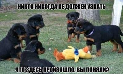 Прикрепленное изображение: pQNW04h7Ckw.jpg